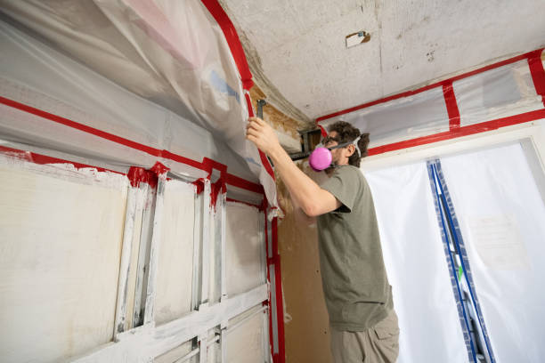 Best Mold Prevention Services  in Oakdale, CA